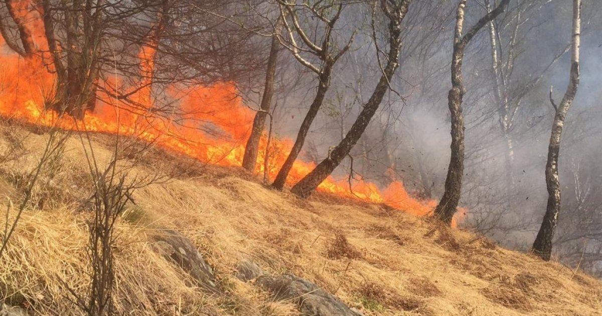 Fiamme Nei Boschi Delle Centovalli Laregione Ch