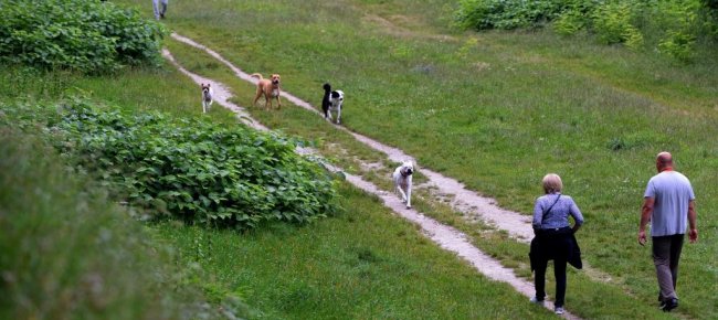 bellinzona-passo-avanti-per-l-area-cani