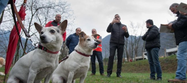 bellinzona-ecco-i-primi-cani-nel-percorso-a-loro-dedicato