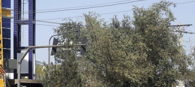 l-attacco-alla-moschea-sciita-di-kabul-almeno-20-morti-oltre-30-feriti