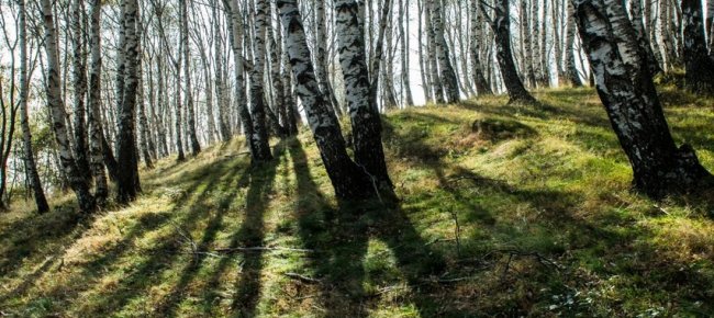 morto-un-cacciatore-57enne-nell-oberland-bernese