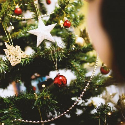 Immagini Fate Natalizie.Fate L Albero Di Natale In Anticipo Non Siete Malati Siete Felici Laregione