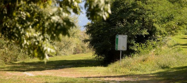 argini-della-maggia-fermate-le-motoseghe-pronta-la-risposta-del-consorzio-per-la-manutenzione-delle-arginature