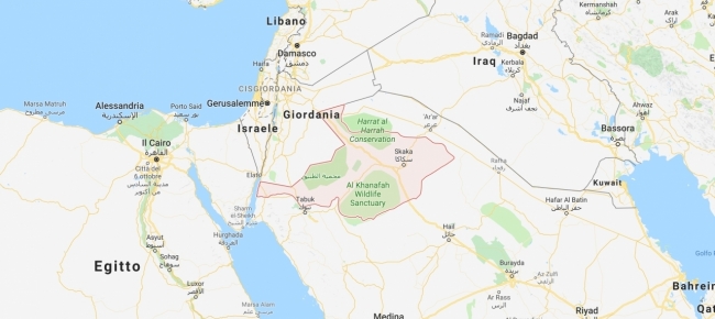 carovana-di-cammelli-scolpita-nella-roccia-in-arabia-saudita