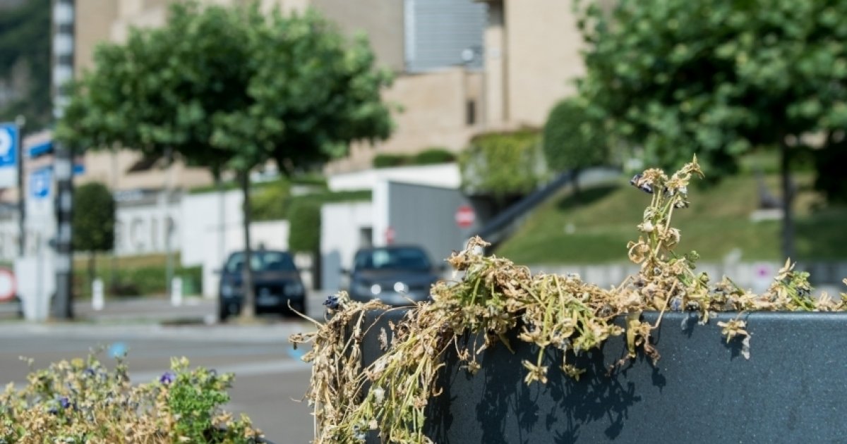 Campione D Italia Dal 19 Nel Territorio Doganale Dell Ue Laregione