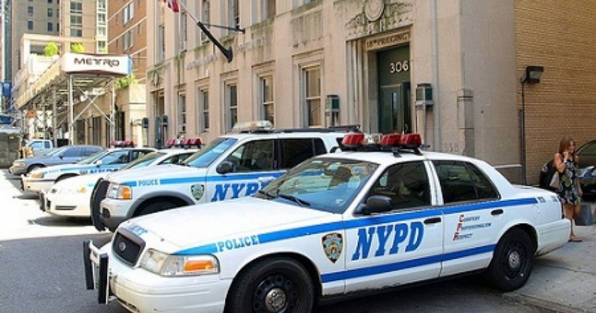 Felpa Polizia Di Stato Blu Navy Ufficiale Con Zip E Ologramma - Foto 5