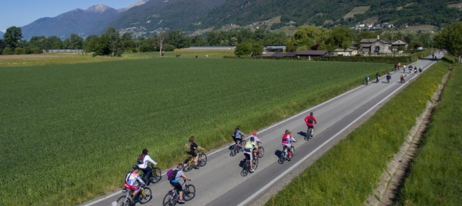 cresce-il-noleggio-bici-ma-preme-la-concorrenza-estera