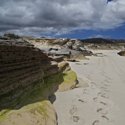 Ultime notizie per cittadinanza italiana 2019 Ultime notizie per cittadinanza italiana 2019