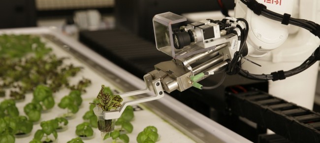 non-vinceranno-i-robot