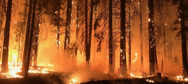 la-fattura-miliardaria-del-cambiamento-climatico