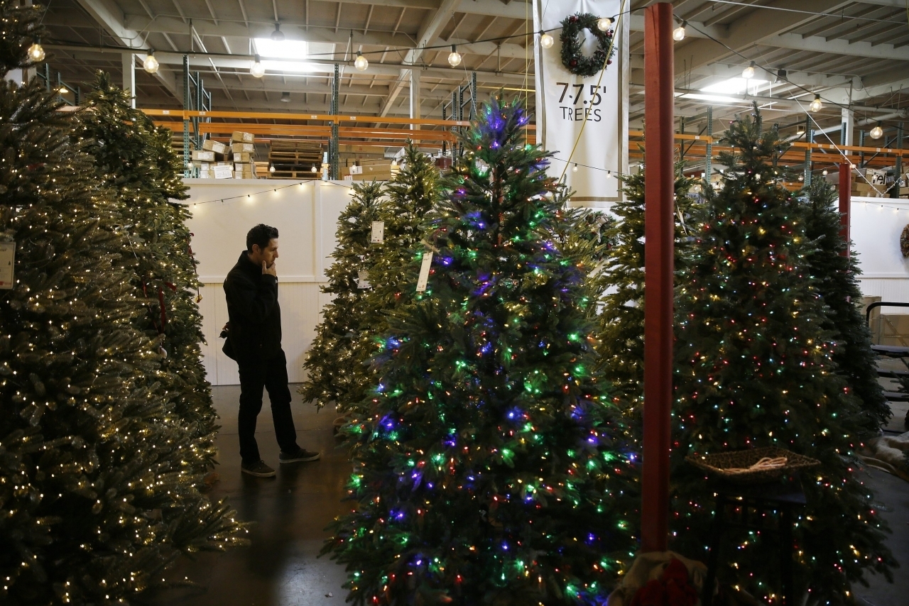 Immagini Degli Alberi Di Natale.Oltre La Meta Degli Alberi Di Natale Svizzeri Viene Dall Estero