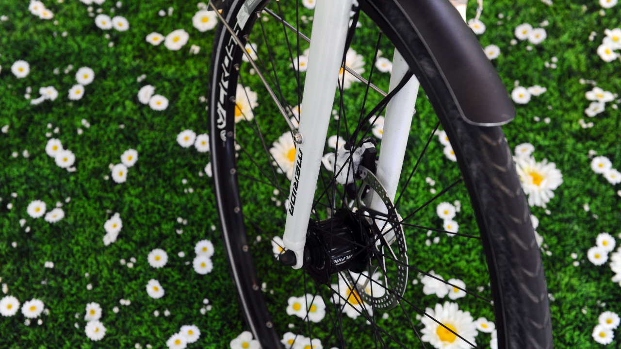 Bici elettriche, Paradiso aumenta il contributo | laRegione.ch