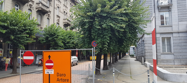 cento-alberi-a-rischio-motosega-in-viale-stazione