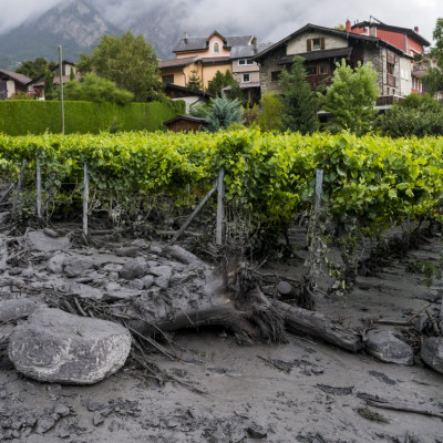Basaksehir ajax Basaksehir ajax