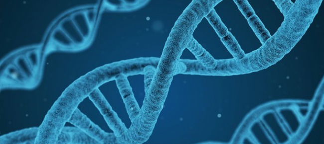 tumori-il-dna-spazzatura-influenza-la-malattia