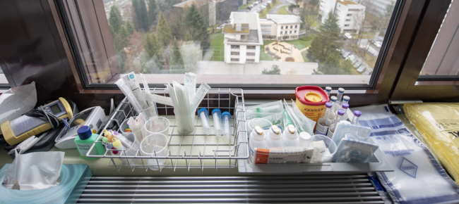 Coronavirus Anche Le Staminali Sono Banco Di Prova Per Le Cure Laregione