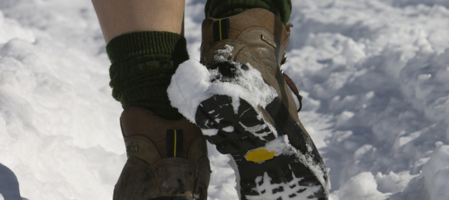 covid-19-il-lento-passo-del-montanaro