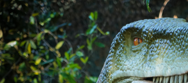 avvistamenti-di-dinosauri-nella-rotonda-di-locarno