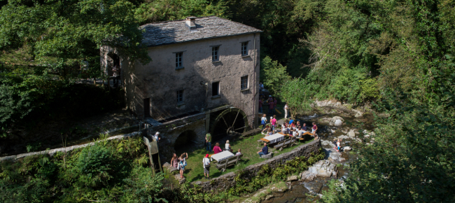 estati-momo-alla-scoperta-della-valle-di-muggio