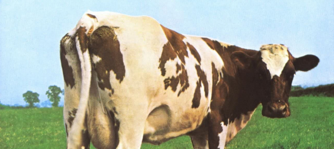 tutta-un-altra-carne