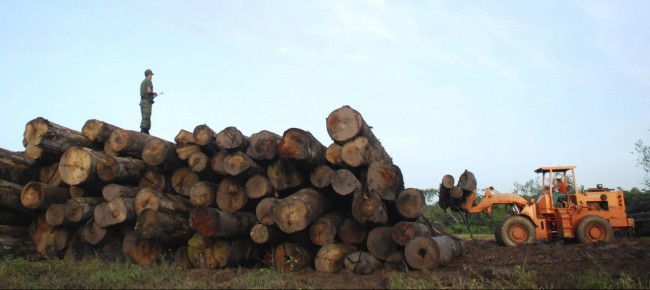 amazzonia-deforestazione-aumentata-25-nel-primo-semestre