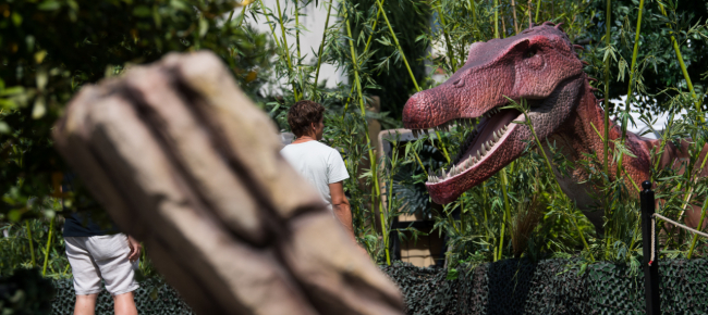 alla-rotonda-di-locarno-da-questo-pomeriggio-ci-sono-i-dinosauri