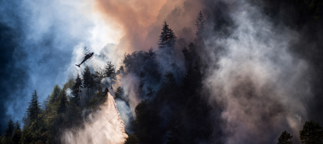 siccita-e-caldo-mix-pericoloso-c-e-rischio-di-incendi-di-boschi