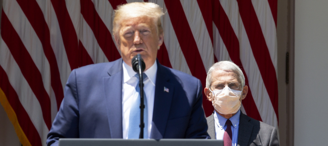 superata-la-soglia-dei-3-milioni-di-contagi-negli-usa