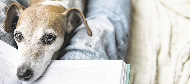quando-finisce-un-libro