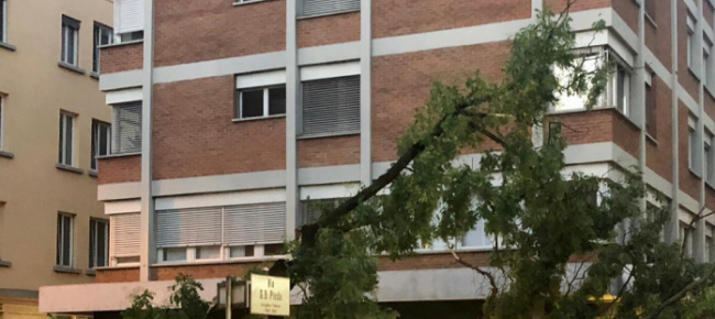 soffia-il-vento-e-cade-un-albero-in-centrocitta-a-lugano