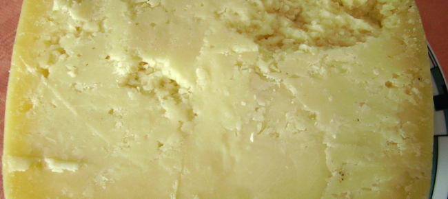 il-pecorino-piu-grande-del-mondo-pesa-quasi-600-chilogrammi