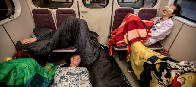 il-suo-profumo-favorisce-il-sonno