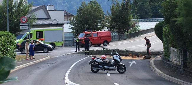 ramo-si-stacca-e-cade-sulla-strada-a-morbio-inferiore