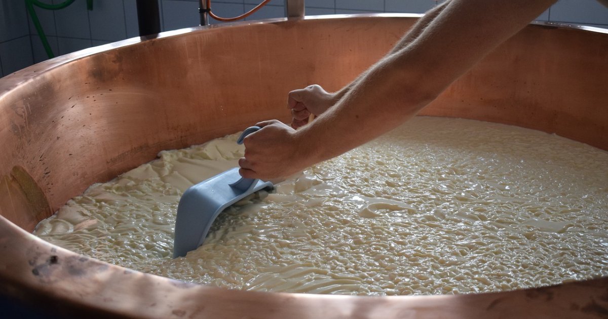 Dieci Morti Per Listeria Nel Canton Svitto Laregione