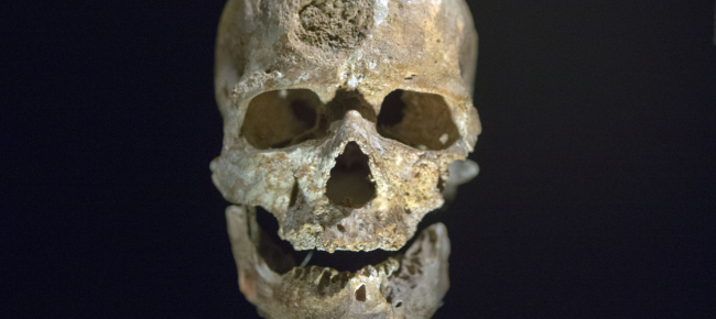 nell-uomo-moderno-tracce-di-dna-di-un-ignoto-progenitore