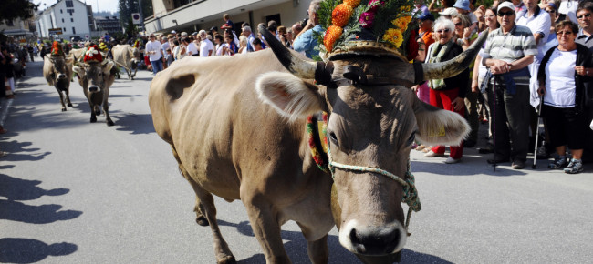 ferragosto-a-san-bernardino-col-mercato-alpino