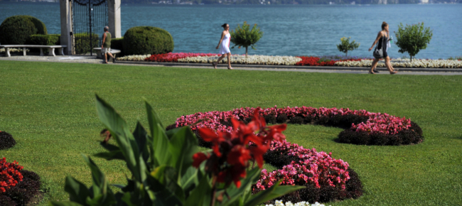 parco-ciani-strappano-una-collana-e-si-danno-alla-fuga