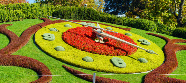 non-lancette-ma-fiori-molti-fiori