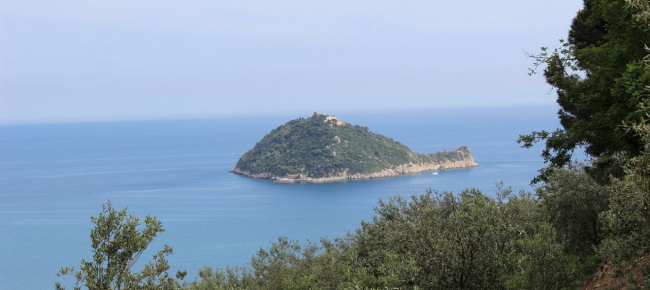 vuoi-comprare-un-isola-servono-solo-10-milioni