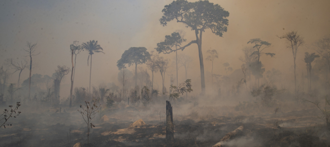 fumo-oltre-i-confini-dagli-incendi-nel-pantanal