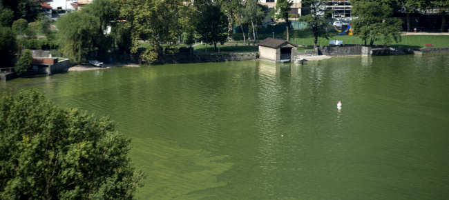 divieto-di-balneazione-a-riva-san-vitale
