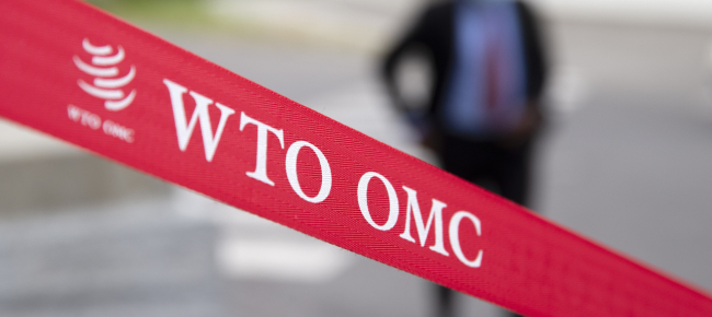 il-wto-autorizza-l-ue-a-imporre-dazi-miliardari-sulle-merci-usa