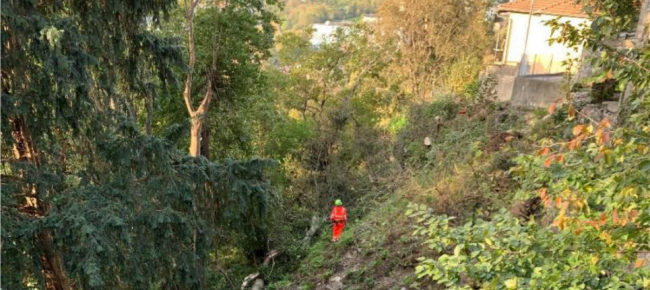vacallo-le-piante-cadute-hanno-rotto-una-canalizzazione