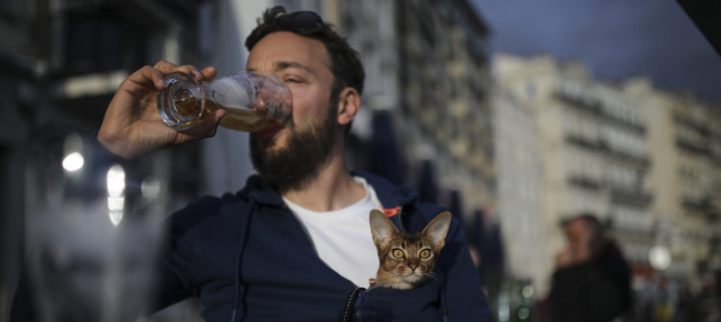 una-strizzatina-d-occhio-per-conquistare-il-gatto