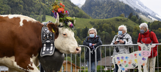 covid-19-per-la-germania-dieci-cantoni-sono-aree-a-rischio