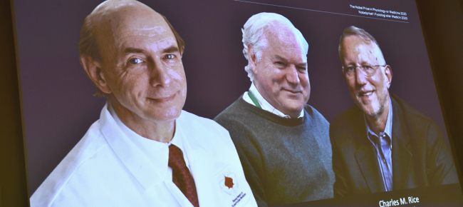 un-nobel-alla-virologia