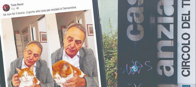 di-gatti-rossi-neri-e-zampa-tesa
