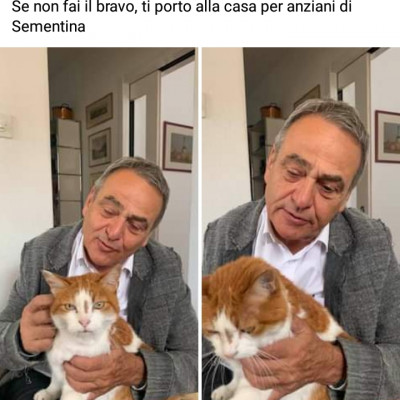 meme di un gatto scioccato