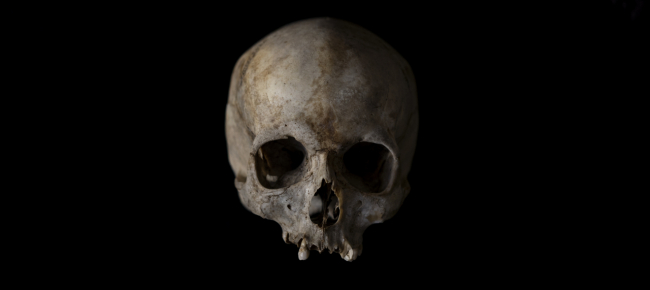 un-cranio-fossile-riscrive-la-storia-degli-ominini