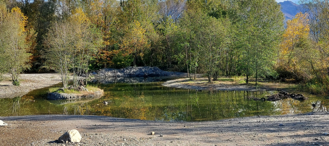 bilancio-parco-del-piano-di-magadino